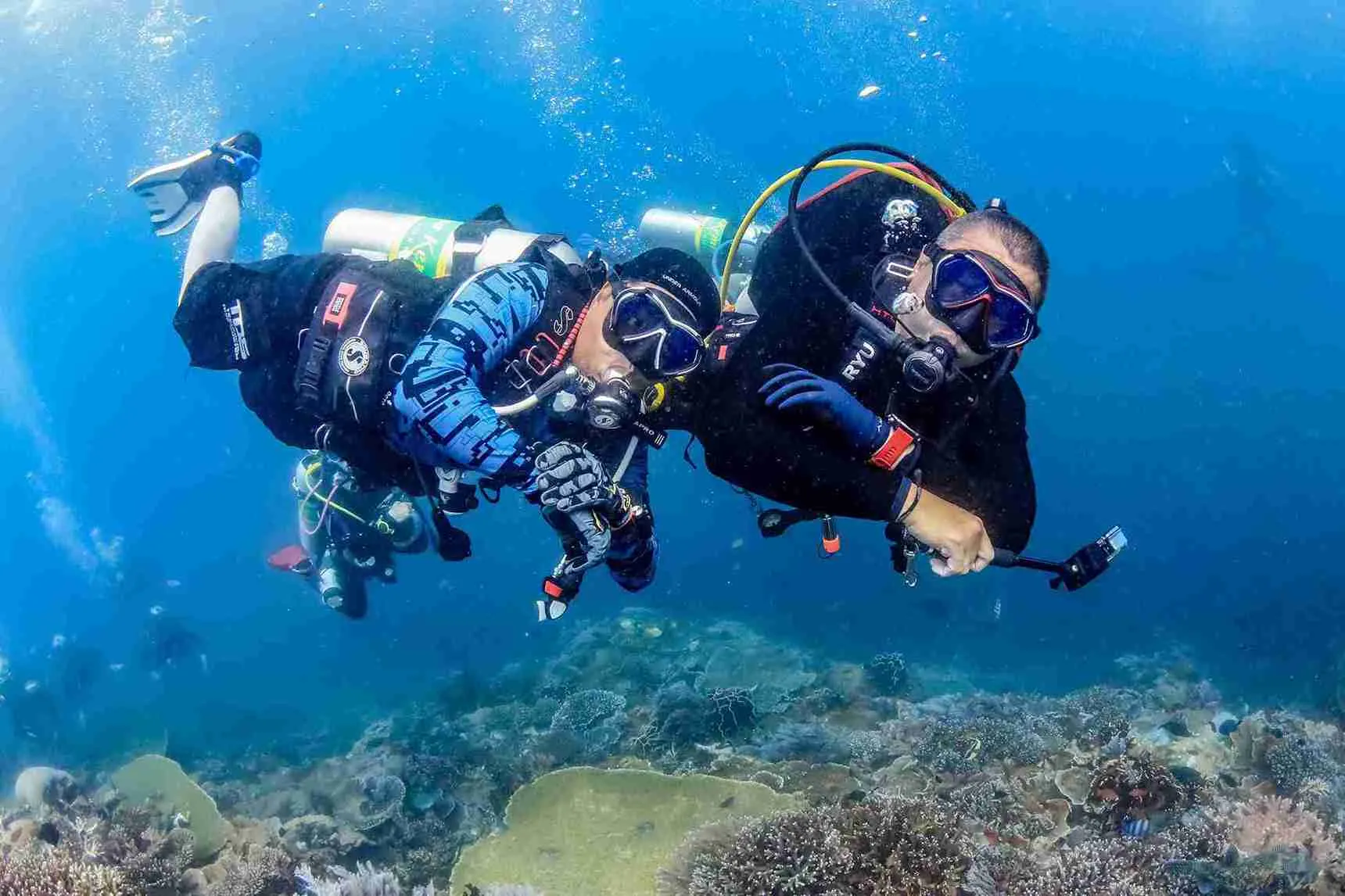 Two divers descending over a Komodo reef
