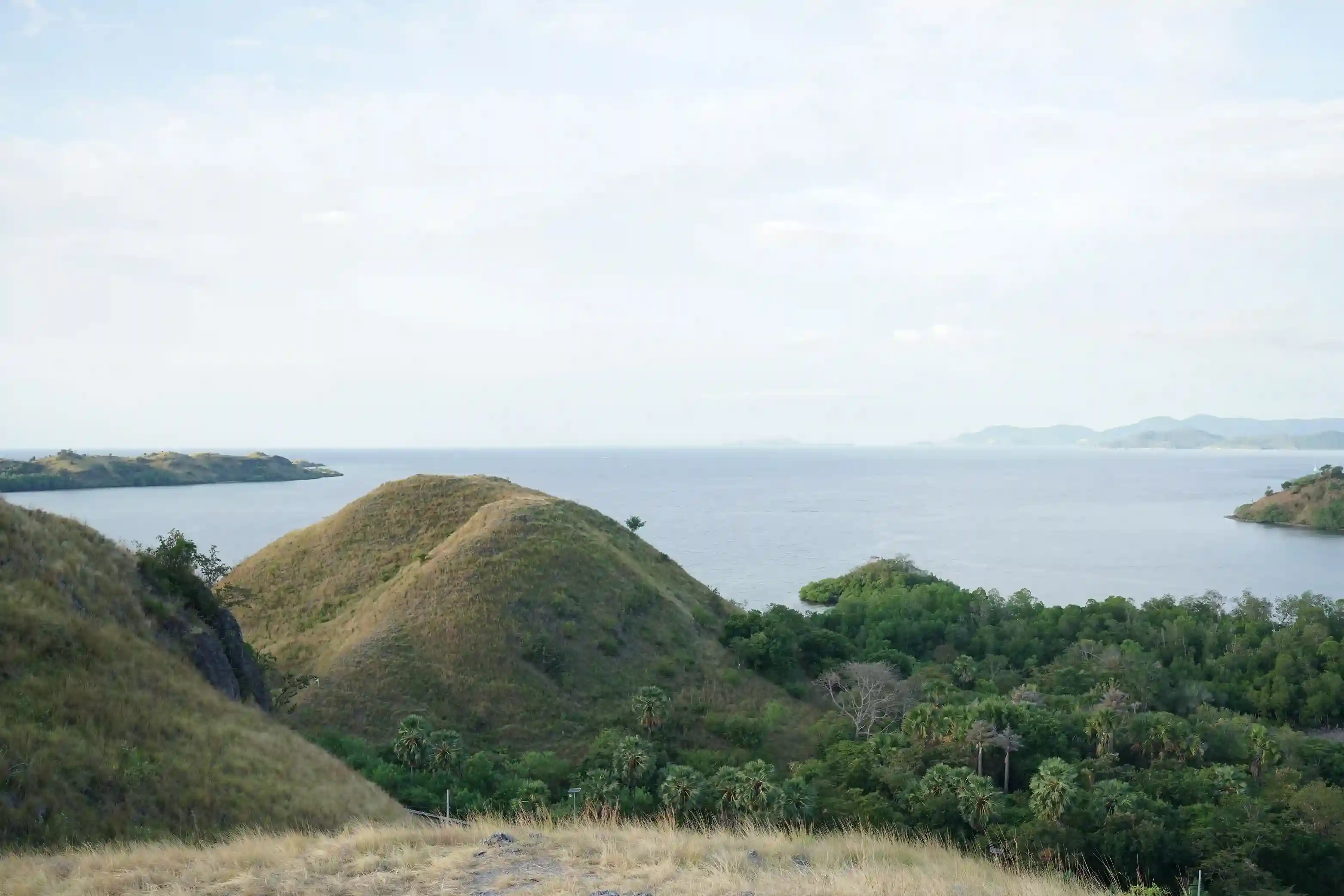 Green hills falling away to the sea on the Flores coast road