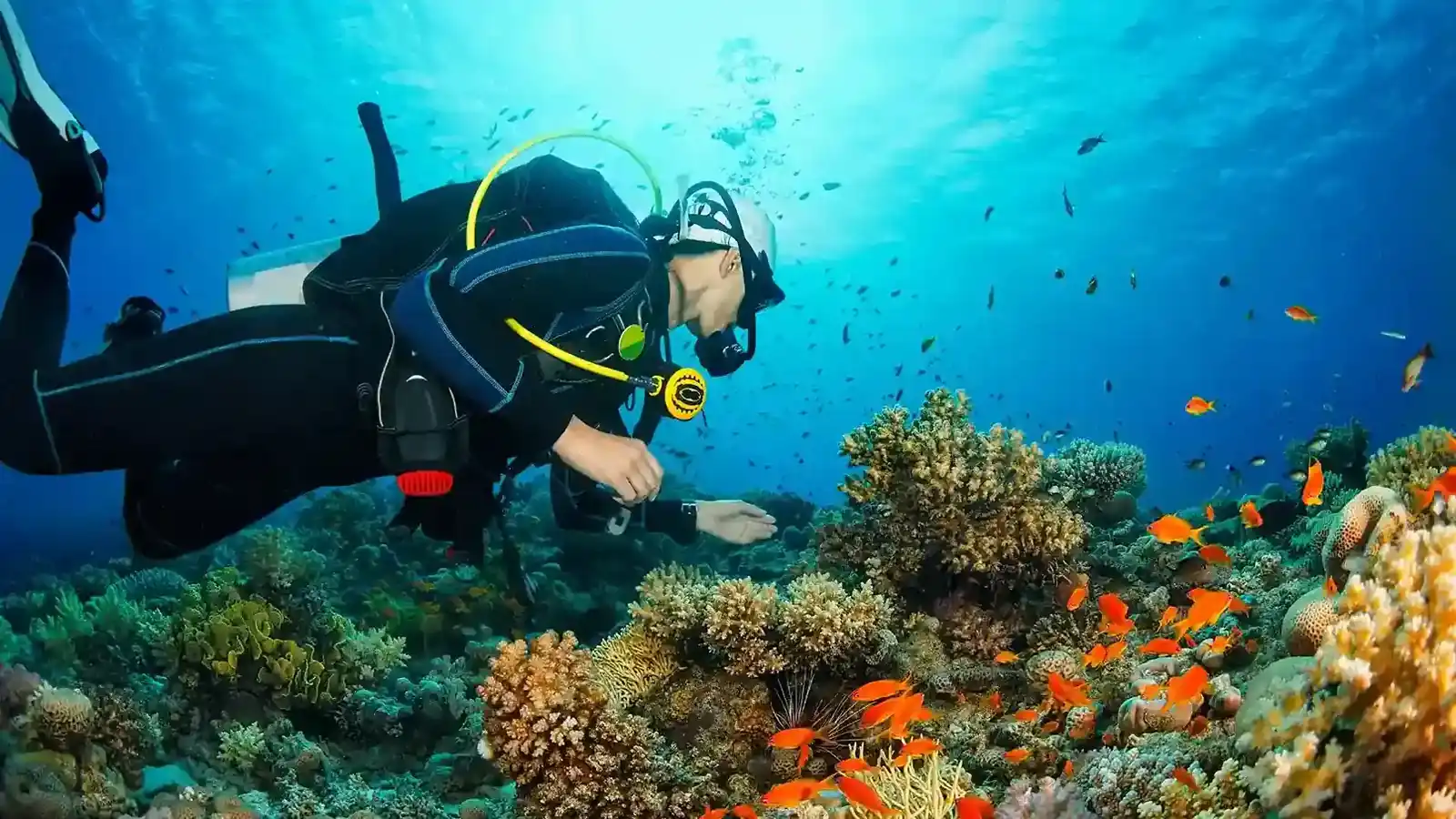 Responsible and sustainable Flores luxury travel