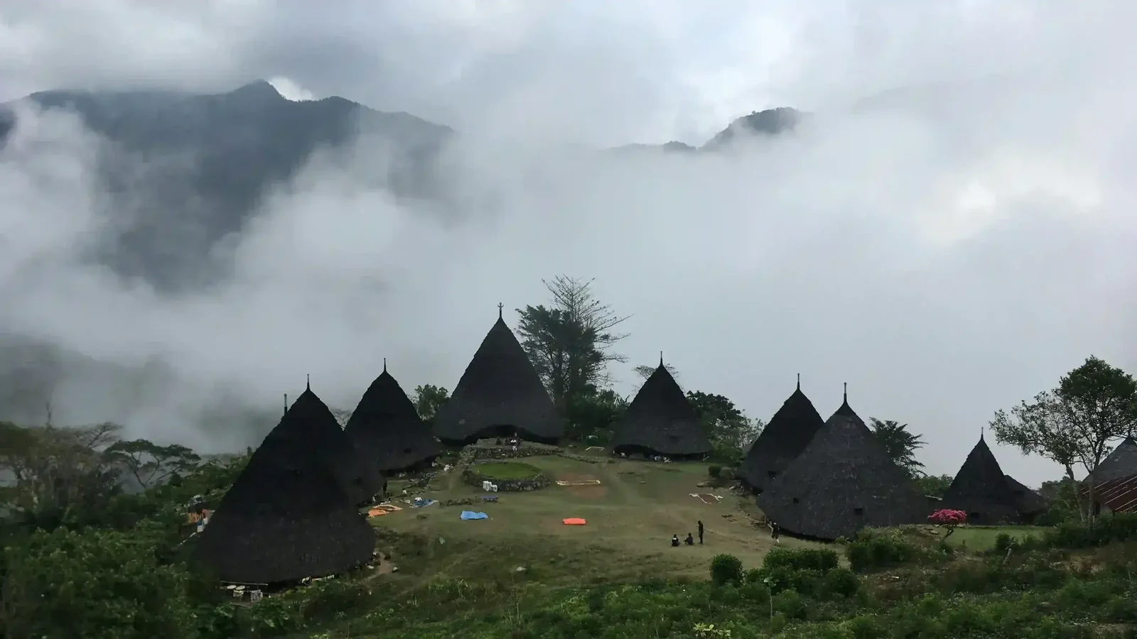 Luxury Art and Culture Events in Flores for 2027